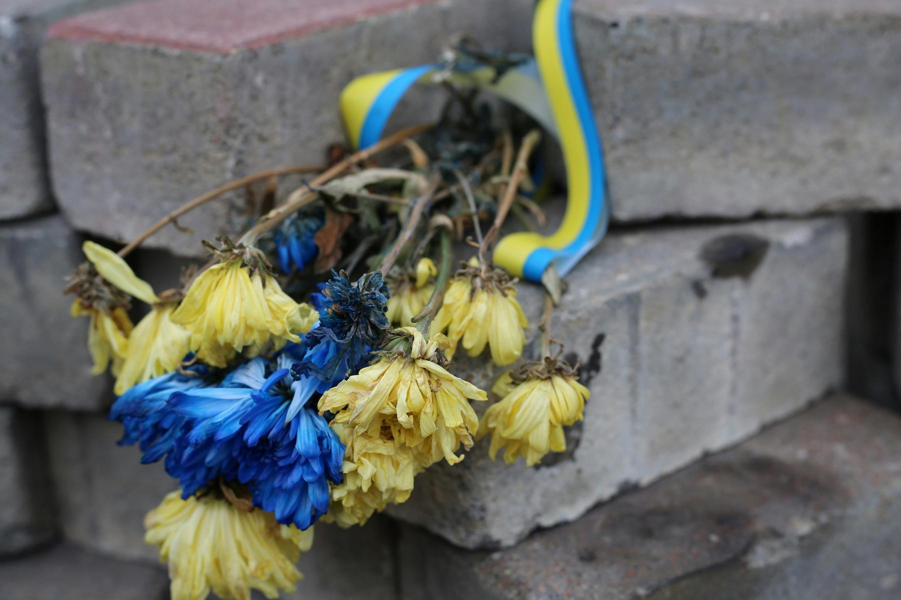 Cover Image for Ukraine at 30, Part I: How to Love Your Homeland Properly